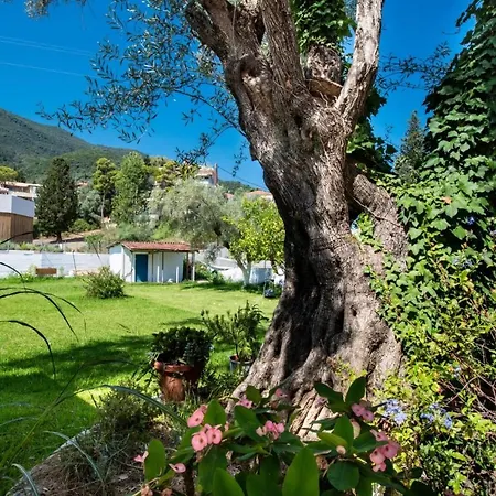 Pansion Porto Fino Apart Otel